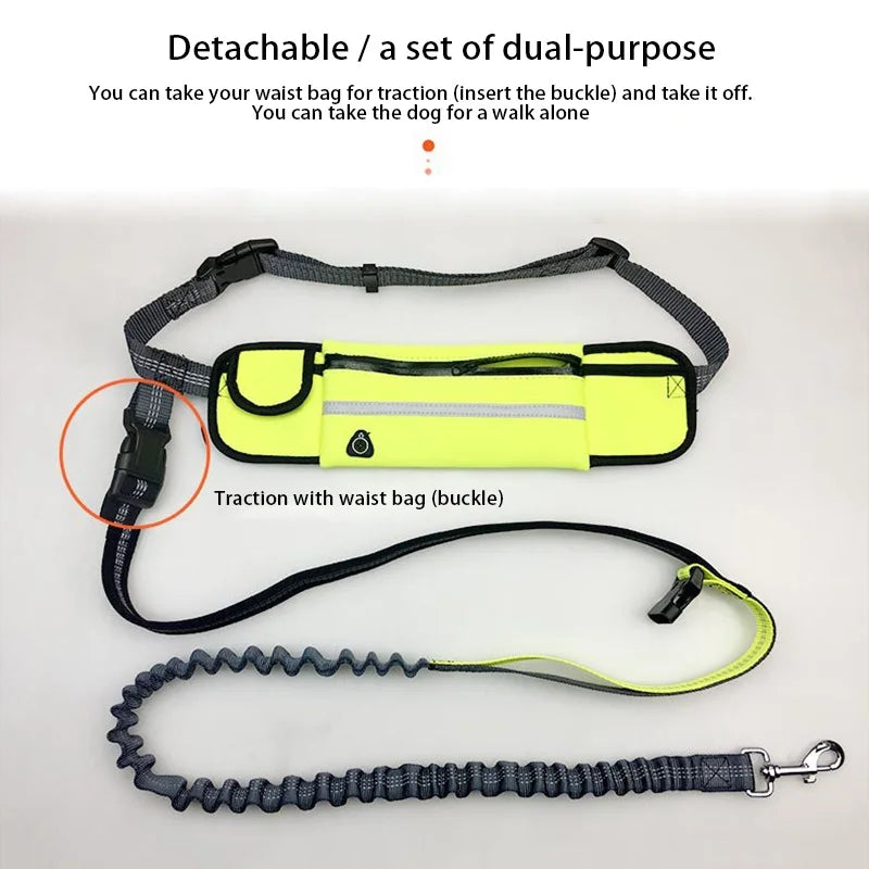 Belt Bag Harness Collar - All-in-One Pet Accessory for Dogs