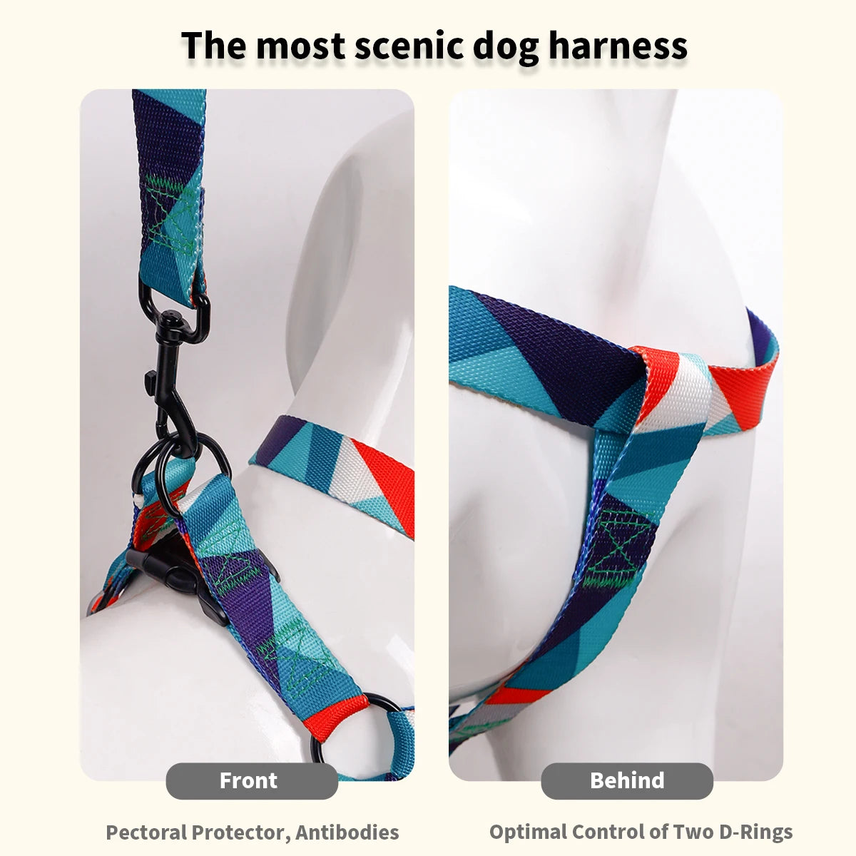 Abstract Chest And Pet harness Set