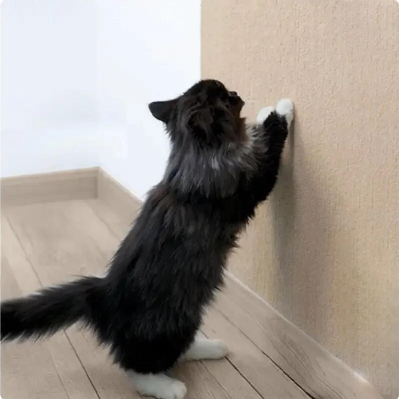 Self-adhesive Cat Scratch Carpet 30x30cm