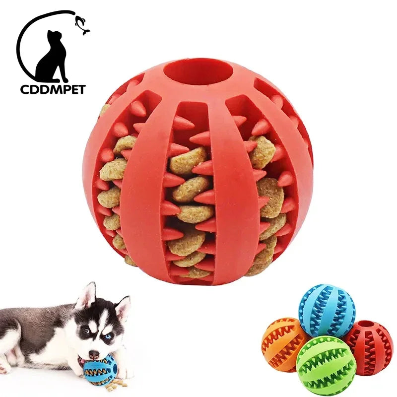 Interactive Dog Ball Toy for Small Dogs