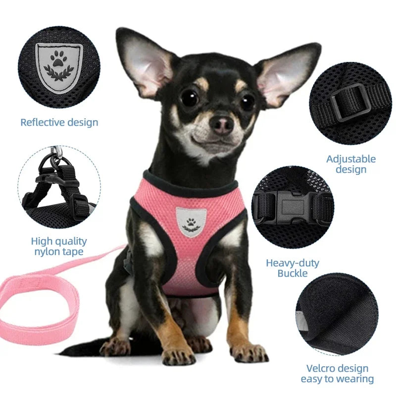 Summer Mesh Dog & Cat Harness with Leash - Adjustable Reflective Vest for Small Pets