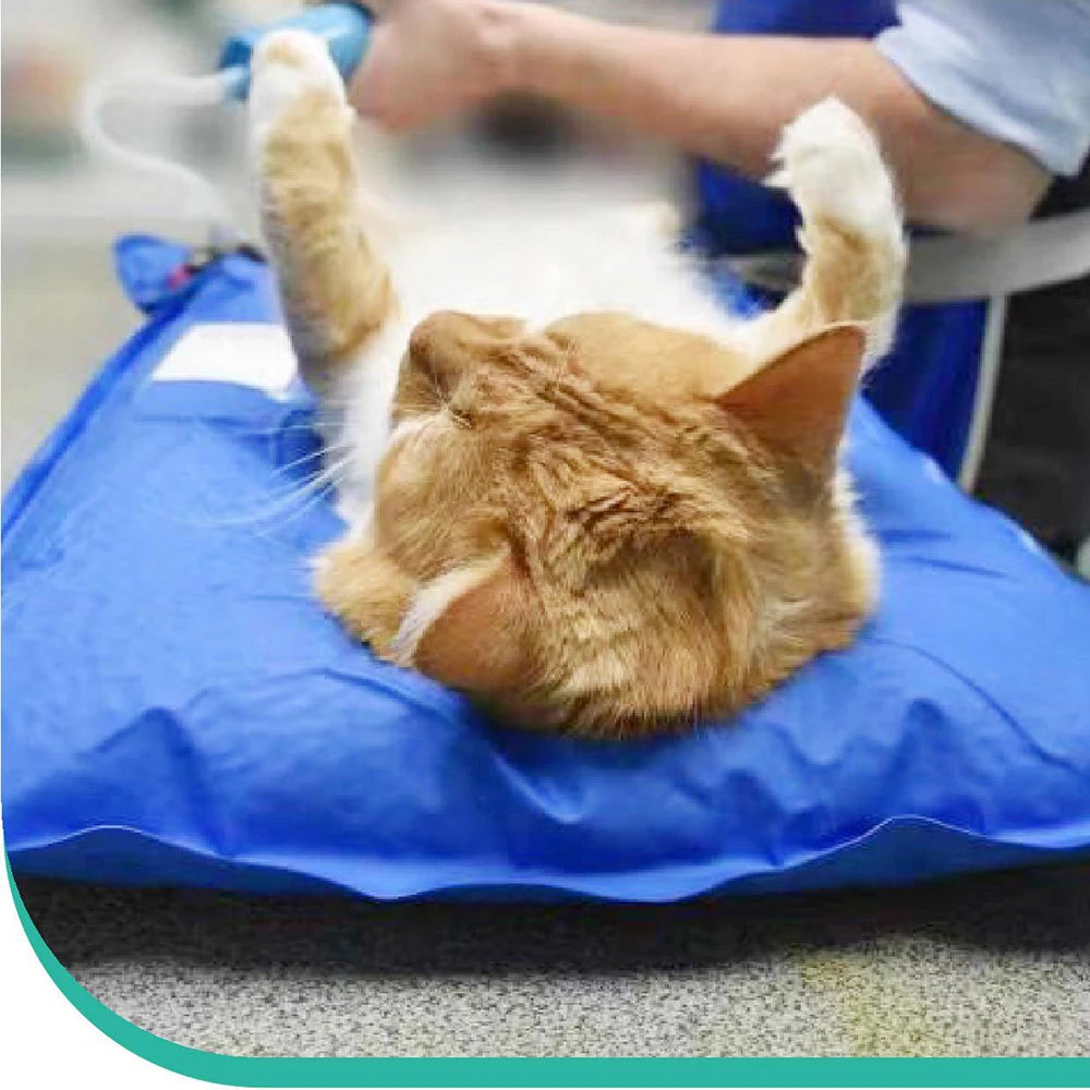 Animal Surgical Accessories Pet Vacuum Positioning Mat