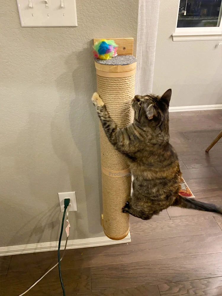 Wall Mounted Kitten Scratcher