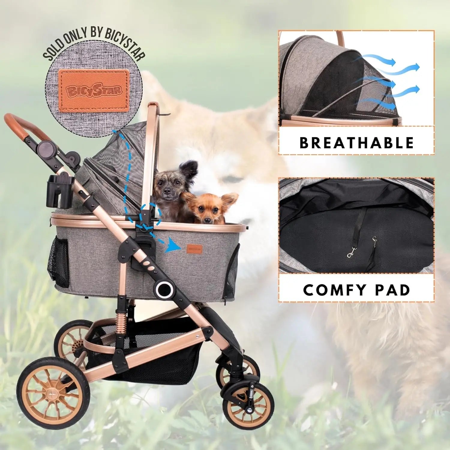 Pet Travel Carrier for Small/Medium