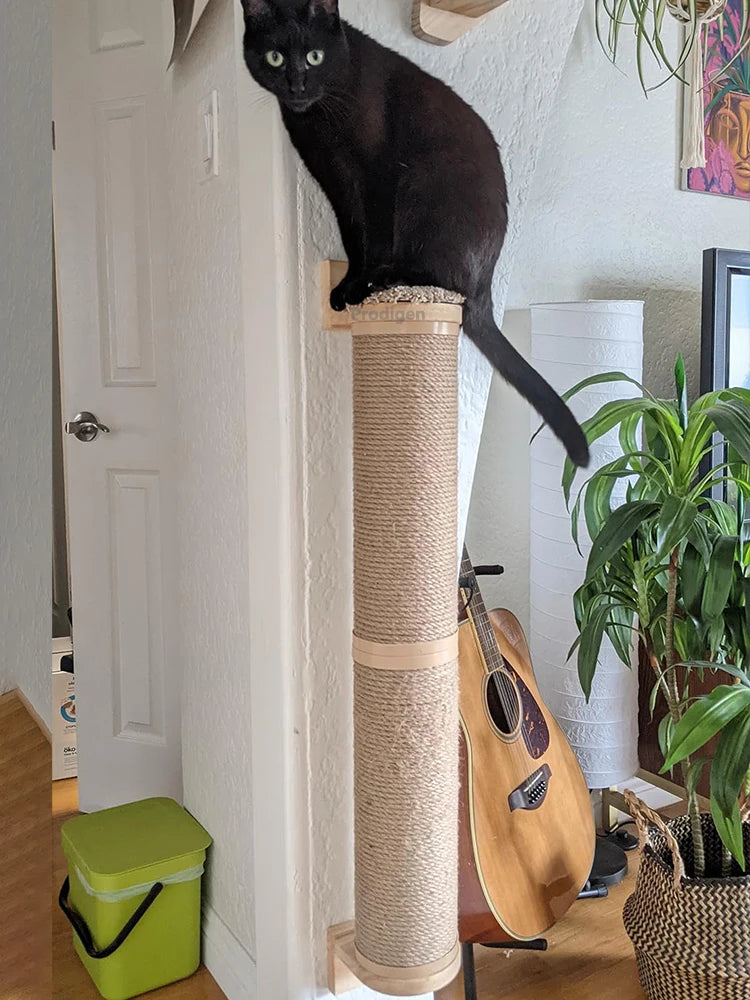 Wall Mounted Kitten Scratcher