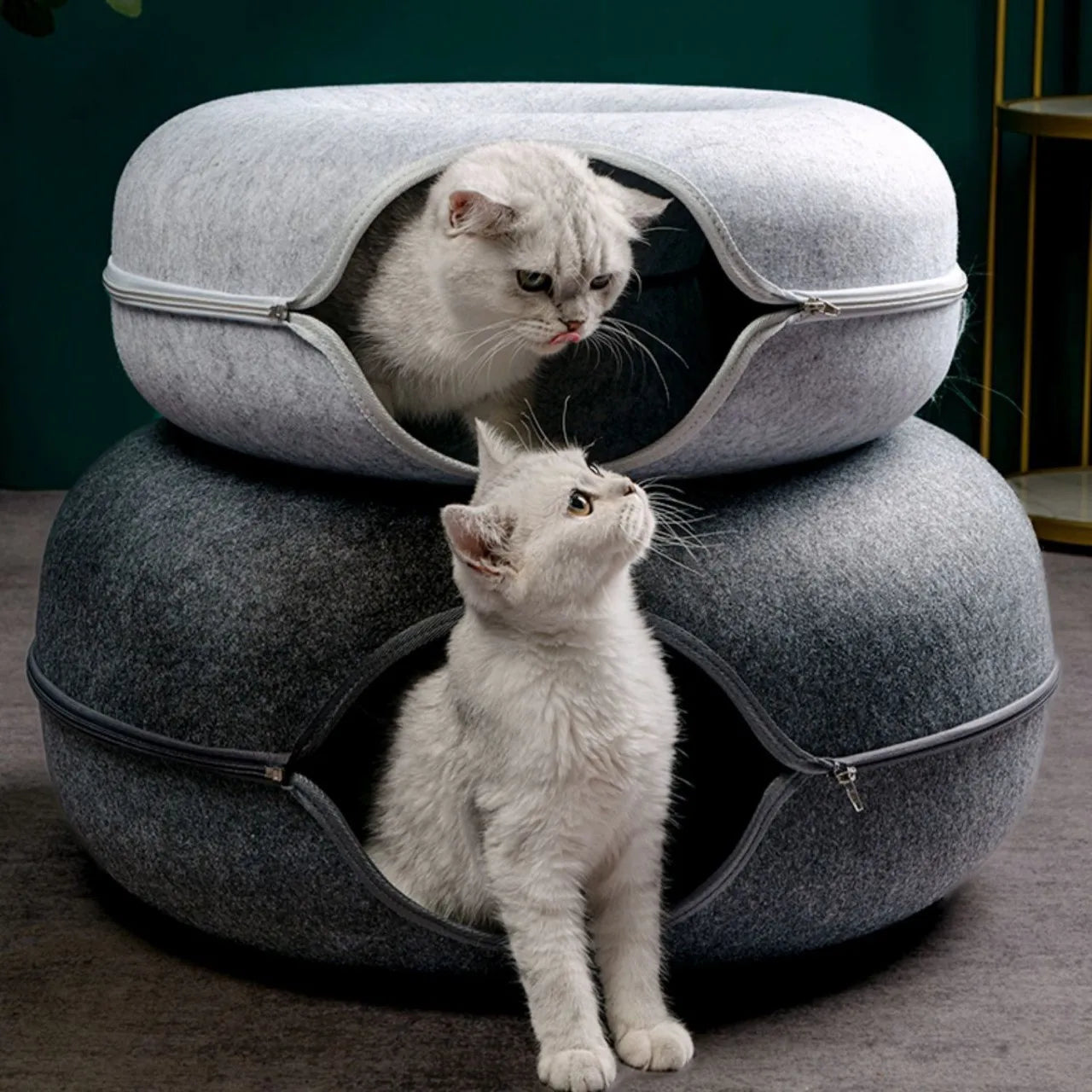 Interactive Tunnel Donut Cat Bed