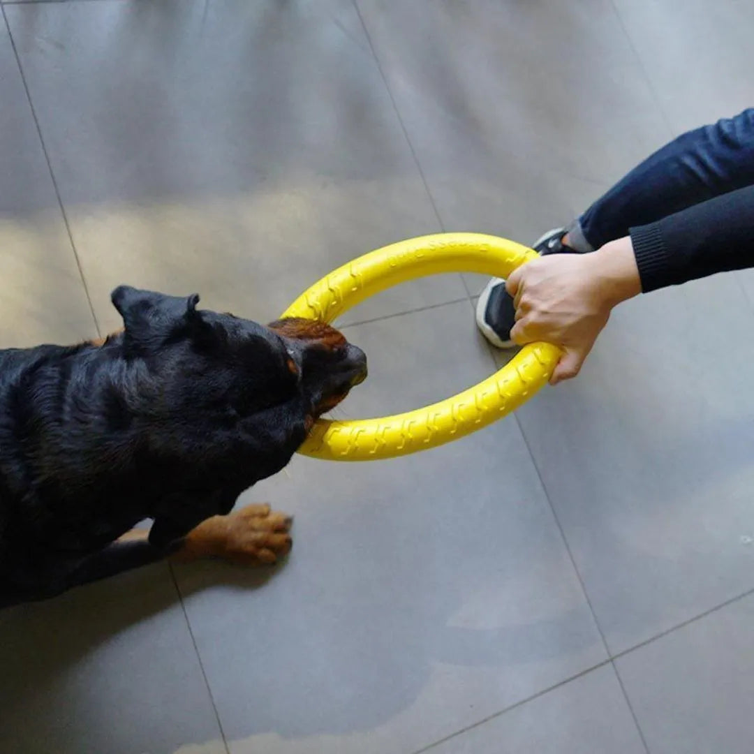 Indestructible Chewing Flying Dog Ring Toys