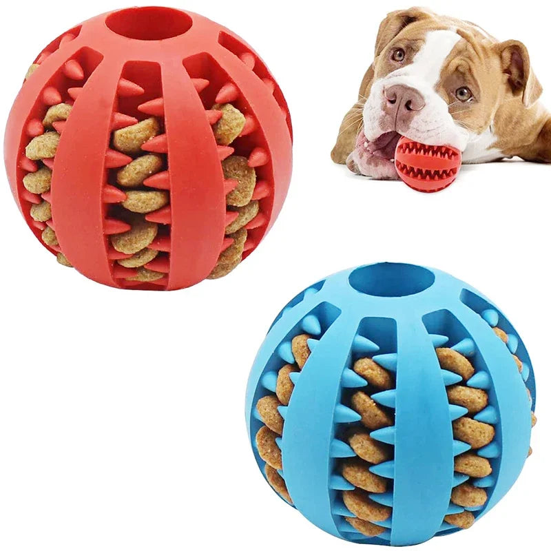 Interactive Dog Ball Toy for Small Dogs