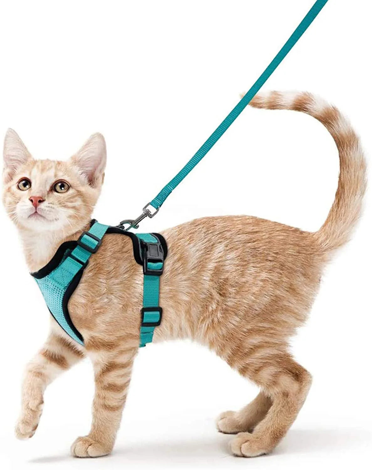 Escape Proof Soft Adjustable Vest Harnesses for Cats