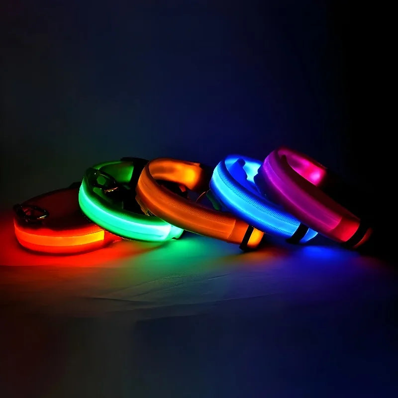 Nylon LED Night Safety Flashing Glow In The Dark Dog Collar