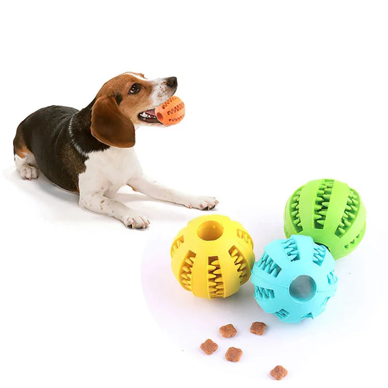 Interactive Dog Ball Toy for Small Dogs