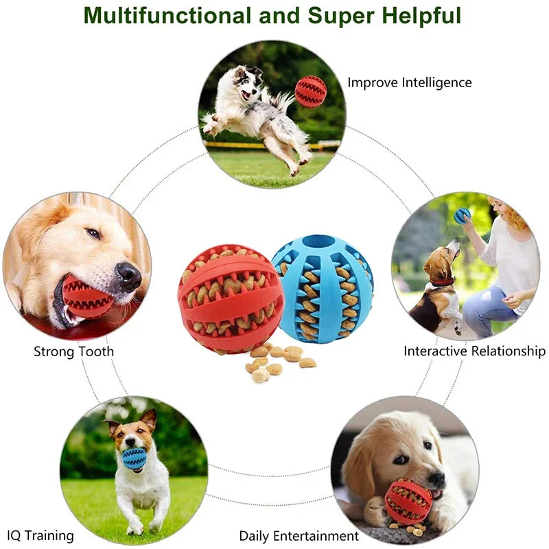 Interactive Dog Ball Toy for Small Dogs