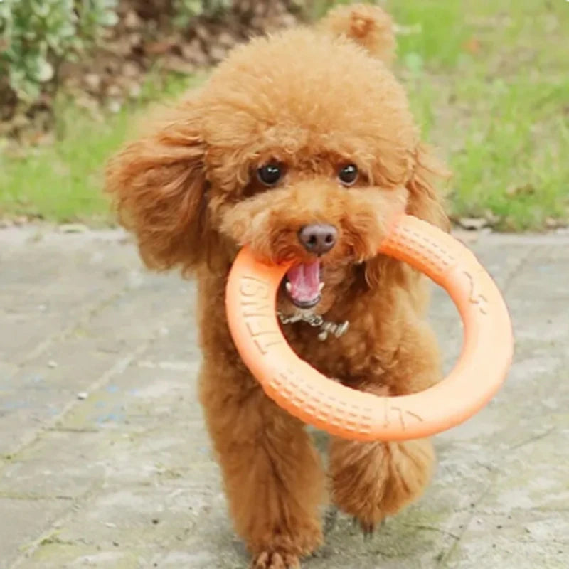 EVA Flying Disk Training Ring Puller- Durable Interactive Training Ring for Dogs