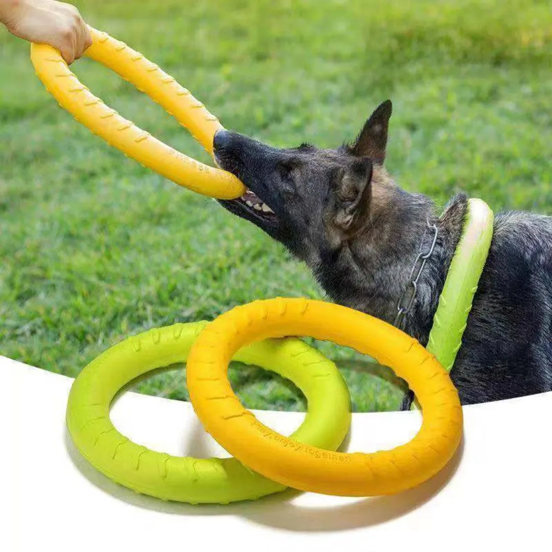 Indestructible Chewing Flying Dog Ring Toys