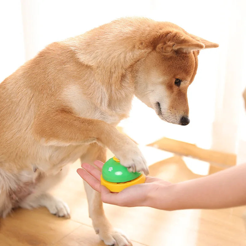 Interactive Ring Trainer Feeding Reminder For Teddy