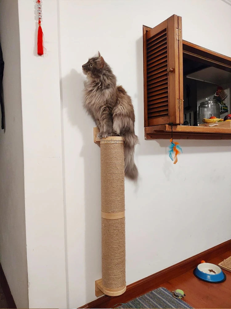 Wall Mounted Kitten Scratcher