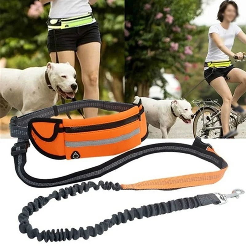 Belt Bag Harness Collar - All-in-One Pet Accessory for Dogs