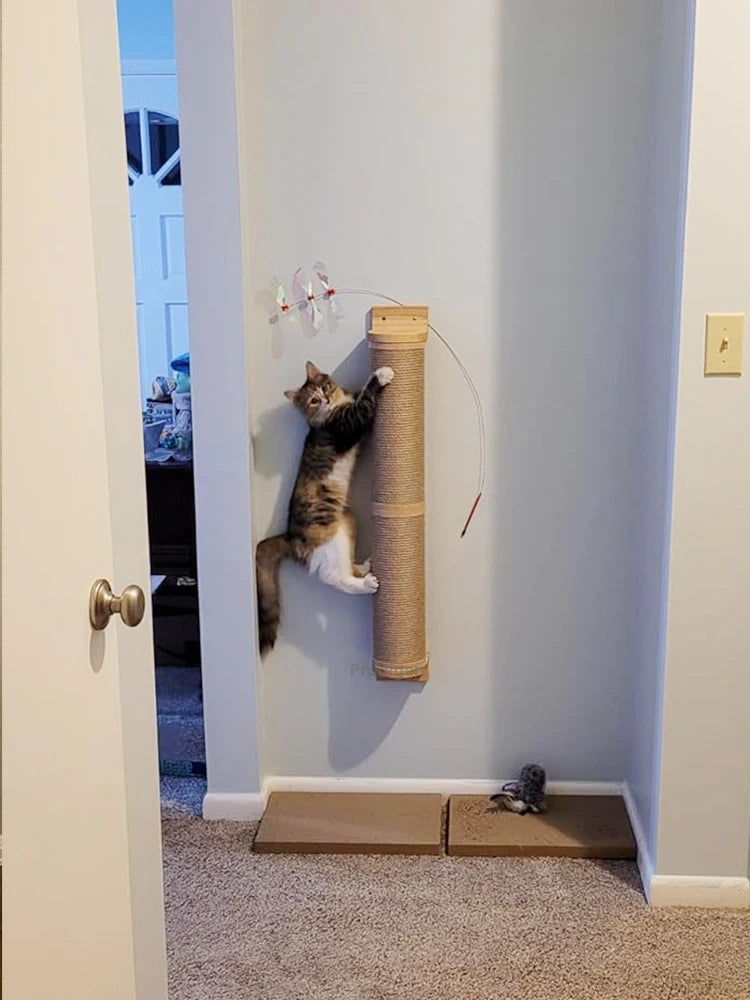 Wall Mounted Kitten Scratcher