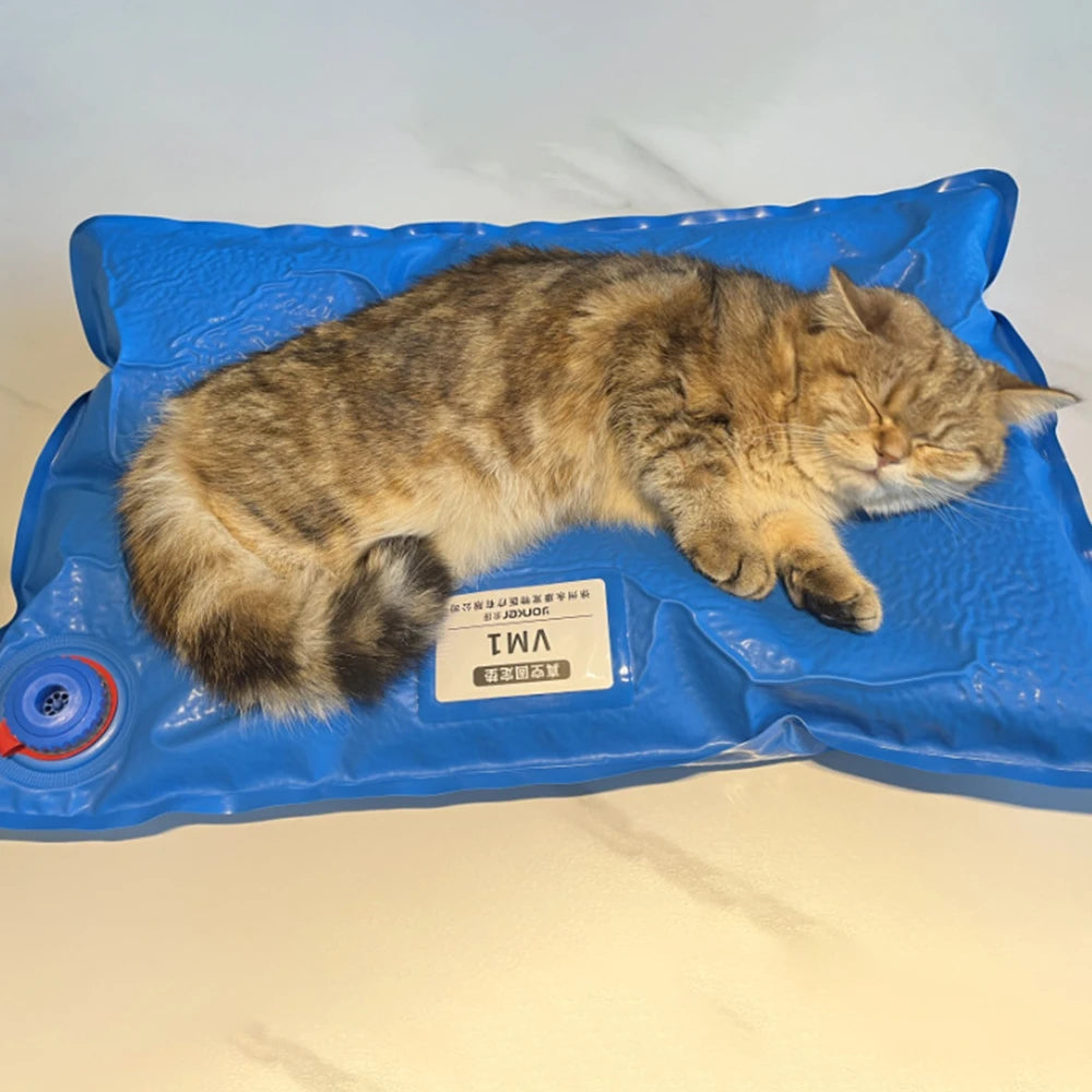 Animal Surgical Accessories Pet Vacuum Positioning Mat