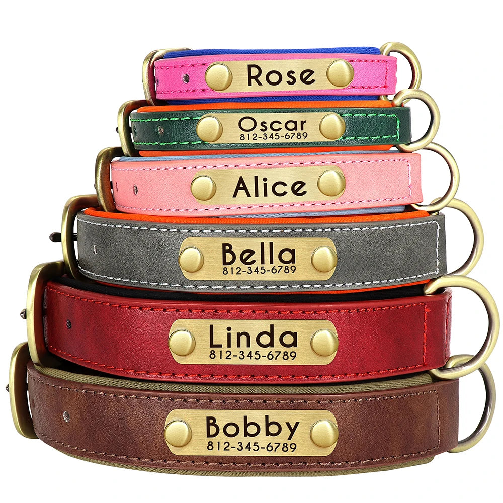 Customized Leather ID Nameplate Dog Collar