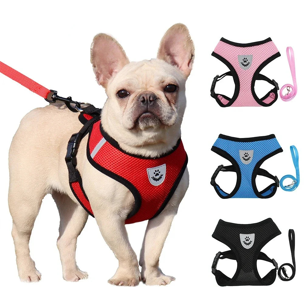 Summer Mesh Dog & Cat Harness with Leash - Adjustable Reflective Vest for Small Pets