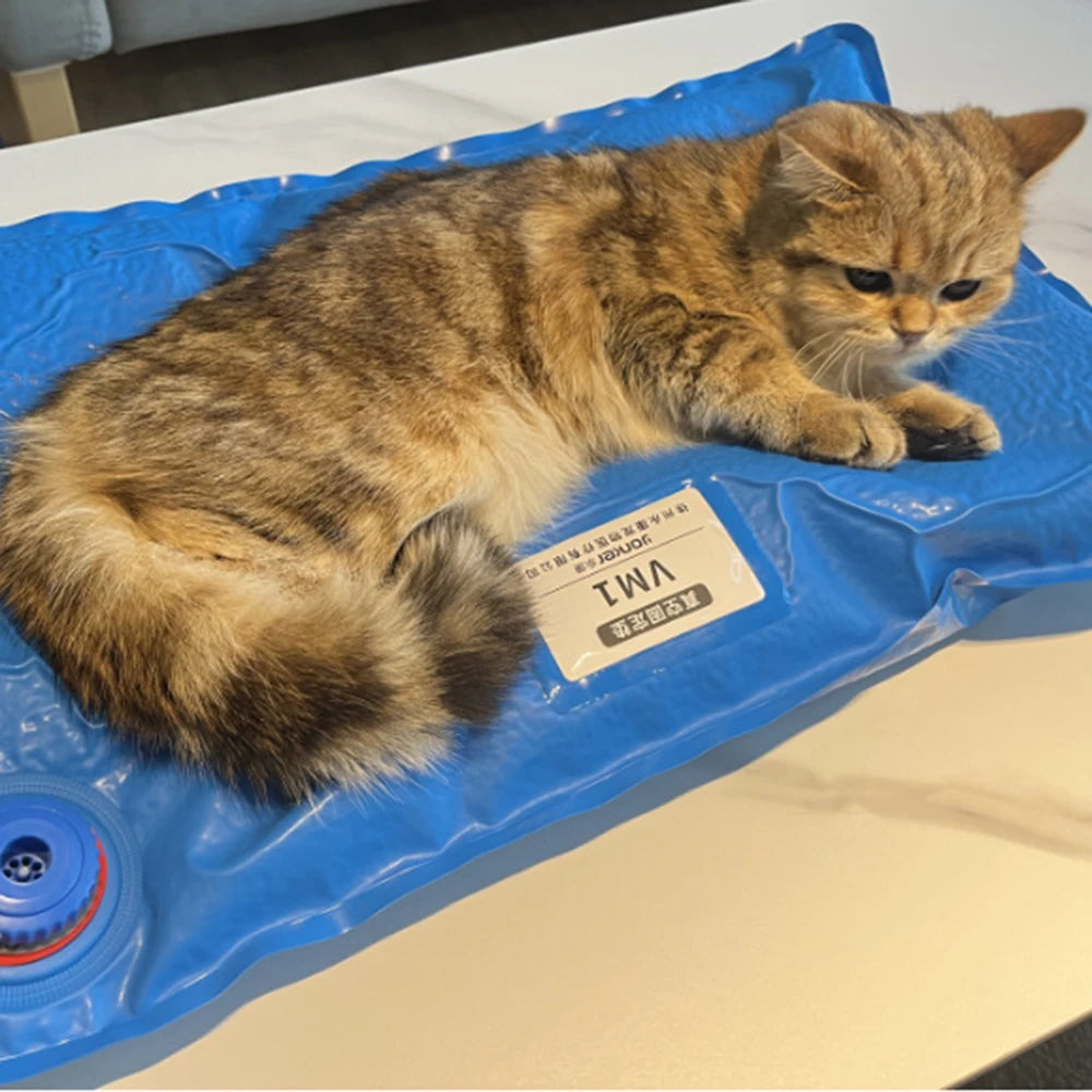 Animal Surgical Accessories Pet Vacuum Positioning Mat