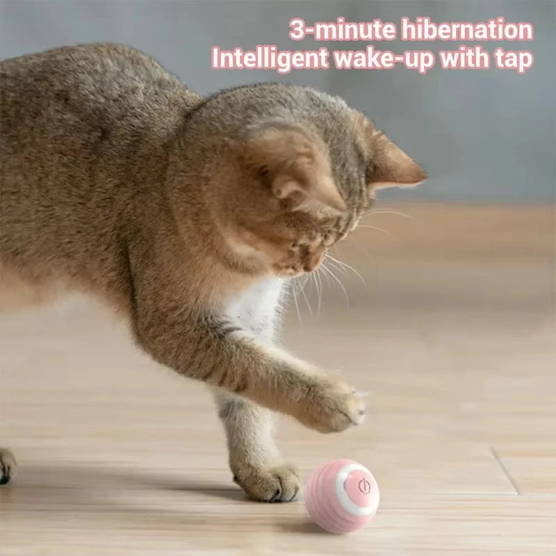 Cat Toy - Smart Rolling Ball for Active Play