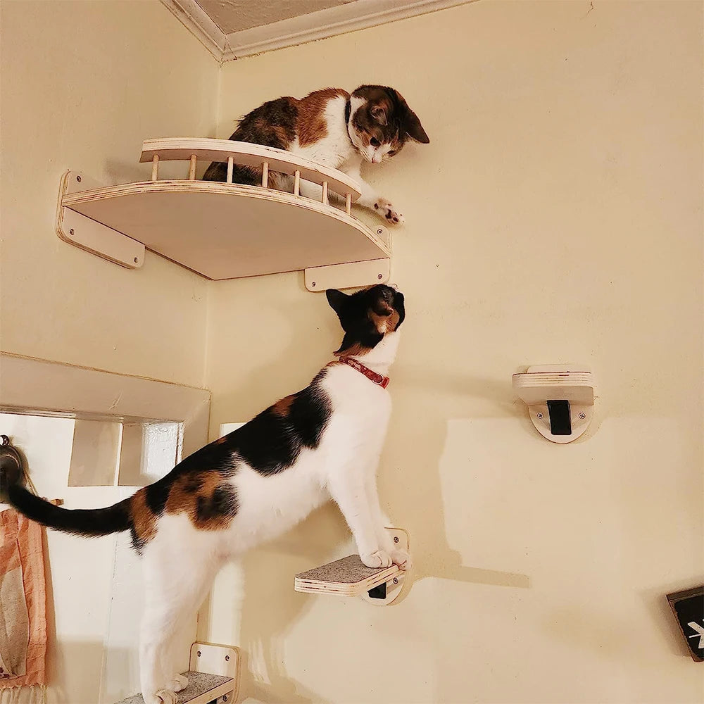 Wall Mounted Four Step Stairway Cat Climbing Shelf