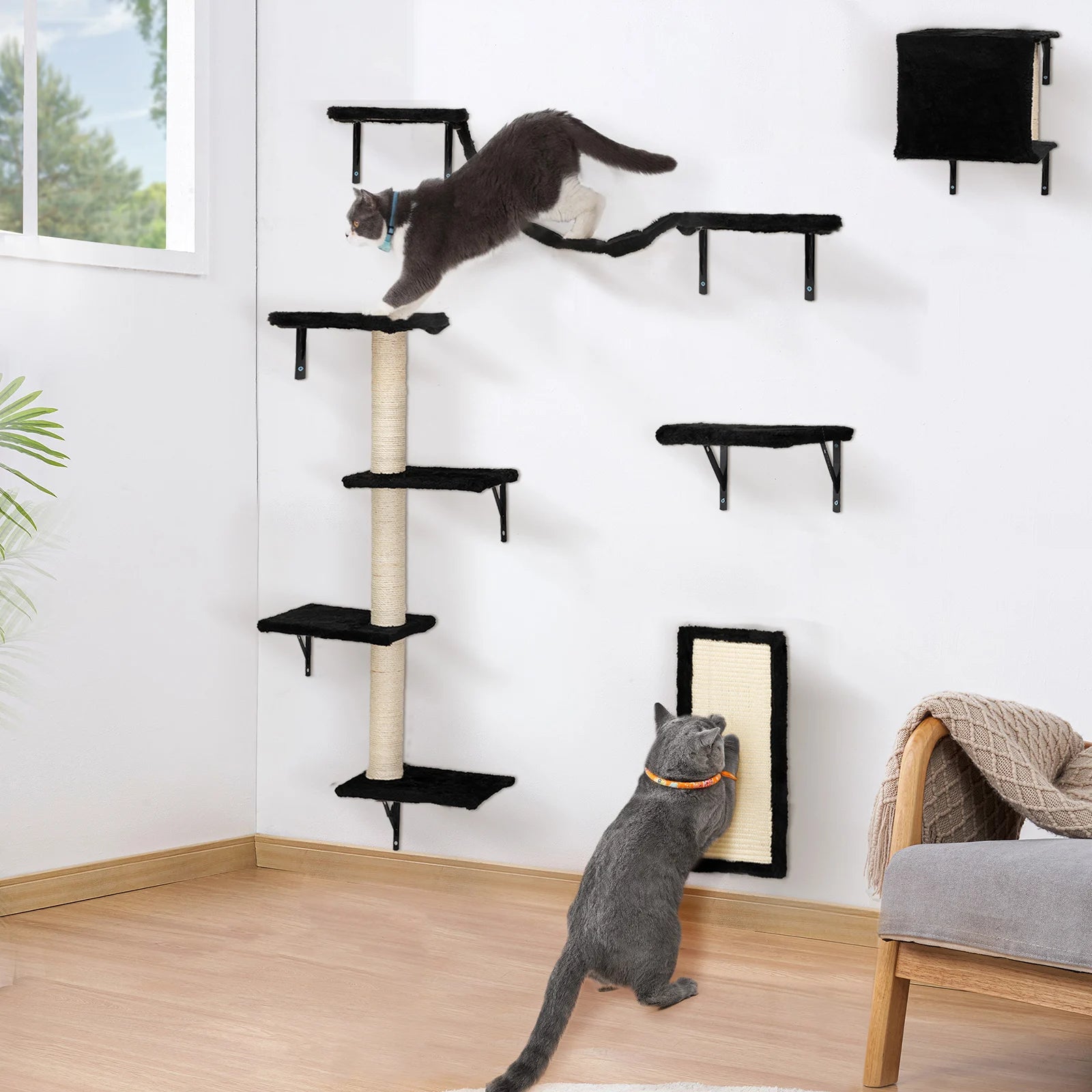 Wall-Mounted Cat Climber Set of 5, Black