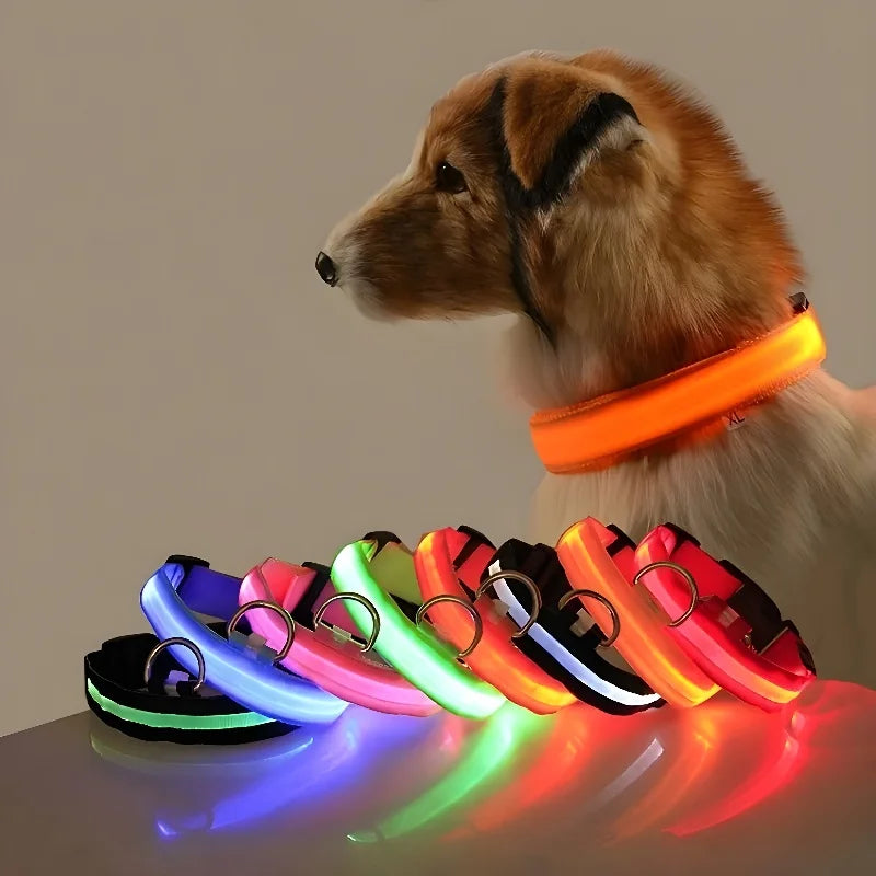 Nylon LED Night Safety Flashing Glow In The Dark Dog Collar