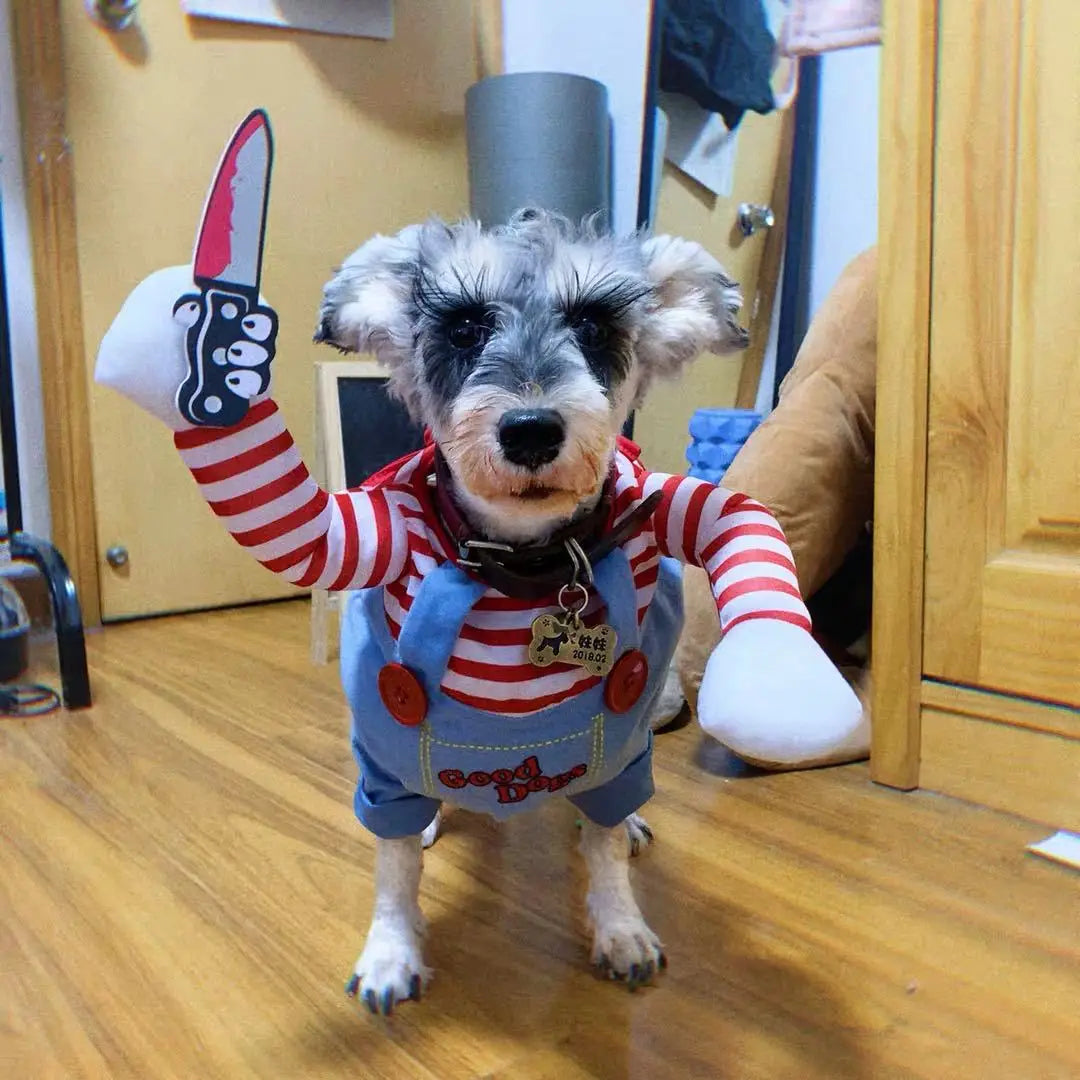 Dog Costume