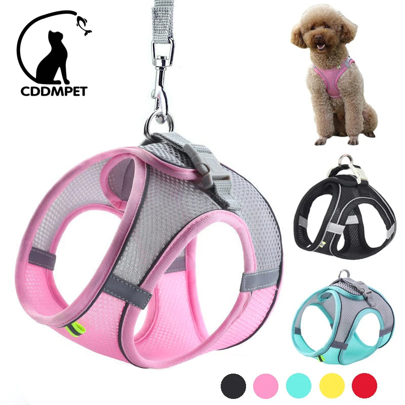 Dog Harness and Leash Set for Small Dogs - Adjustable Puppy and Cat Harness Vest for French Bulldogs, Chihuahuas, Pugs, and More