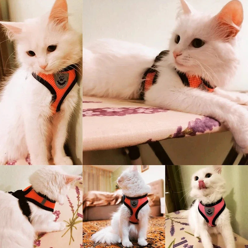 Summer Mesh Dog & Cat Harness with Leash - Adjustable Reflective Vest for Small Pets