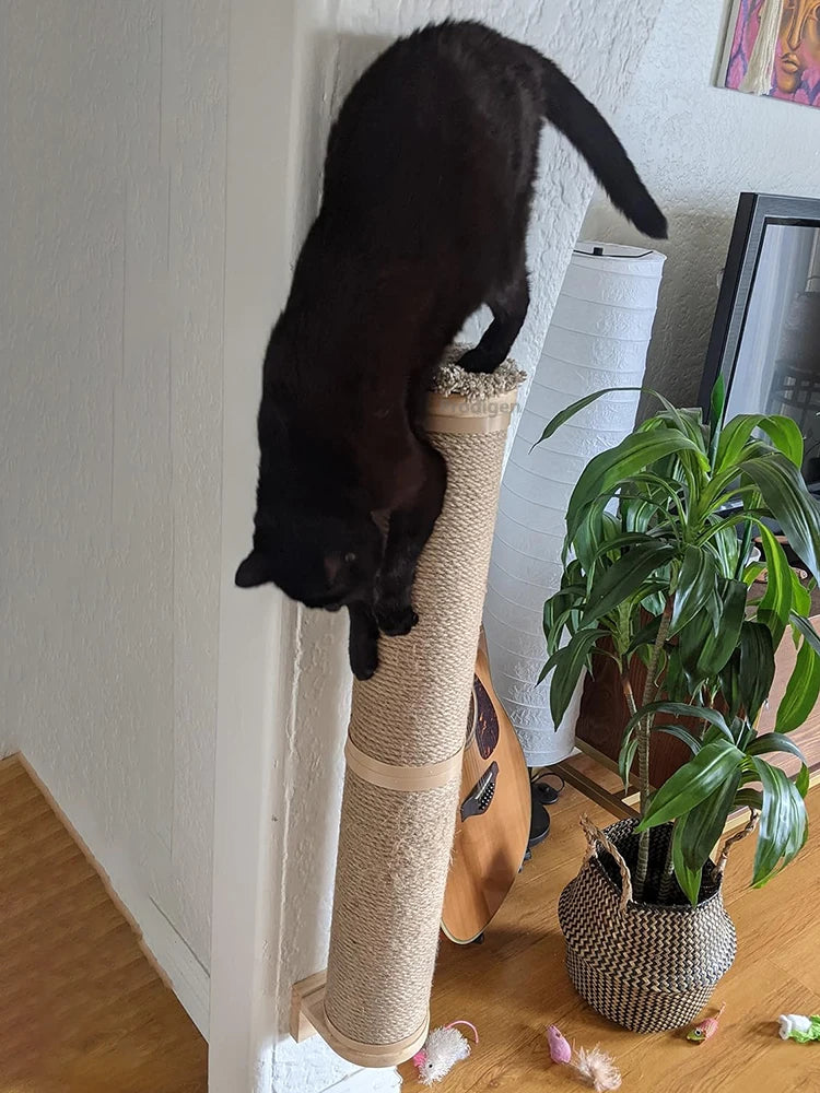 Wall Mounted Kitten Scratcher